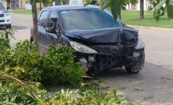 Imagen de la nota: Perdió el control de su auto y se chocó un árbol