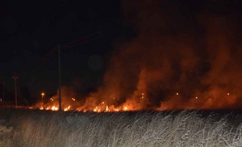Imagen de la nota: Bomberos trabajaron en un incendio de pastizales en La Colmena
