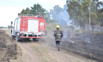 Imagen de la nota: Más trabajo para los bomberos por incendios de pastizales 