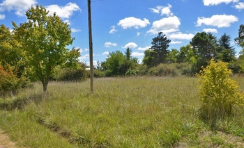 Imagen de la nota: Terrenos baldíos: multas de hasta $23 mil 