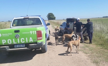 Imagen de la nota: Infraccionan a cazadores que se movilizaban con 14 galgos