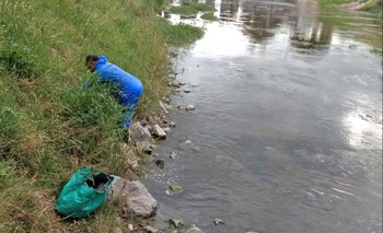 Imagen de la nota: Trabajos de desratización en el arroyo Tapalqué