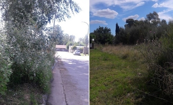 Imagen de la nota: Reclaman limpieza en terrenos del jardín de Colonia Hinojo