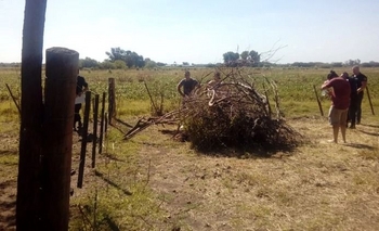 Imagen de la nota: Marcos Paz: Mató a una mujer con un hacha, la ocultó y se entregó