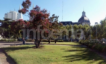 Imagen de la nota: Cómo estará el tiempo en Olavarría durante la semana