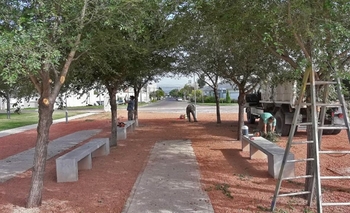 Imagen de la nota: Trabajos de poda en la Plaza España