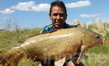 Otro carpón para Ciancio Imagen de la nota: Otro carpón para Ciancio