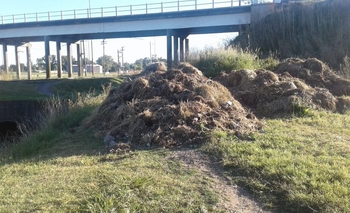 Imagen de la nota: “Pedimos que cierren el paso, era la salida de los ladrones”