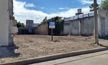 Terrenos baldíos: multas que superan los $28 mil Imagen de la nota: Terrenos baldíos: multas que superan los $28 mil