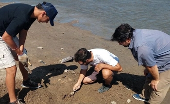 Investigadores locales en Bolívar tras el hallazgo de restos fósiles Imagen de la nota: Investigadores locales en Bolívar tras el hallazgo de restos fósiles