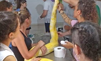 Jornada de medicina veterinaria y bienestar animal de reptiles Imagen de la nota: Jornada de medicina veterinaria y bienestar animal de reptiles