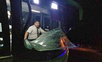 Ruta 51: Un colectivo chocó contra una yegua Imagen de la nota: Ruta 51: Un colectivo chocó contra una yegua