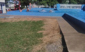 Imagen de la nota: Denuncian uso de glifosato al borde de una pileta pública