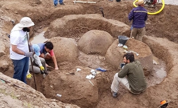 Trabajan en la extracción de cuatro gliptodontes Imagen de la nota: Trabajan en la extracción de cuatro gliptodontes