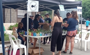 Imagen de la nota: Lanzaron el Programa de Promoción Ambiental del MTE