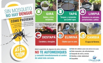 Imagen de la nota: Relanzaron la campaña “Sin mosquito no hay Dengue”