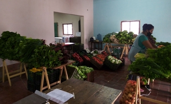 Imagen de la nota: Cambia el cronograma de la feria de verduras