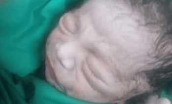 Imagen de la nota: Hallaron a un recién nacido entre bolsas de basura