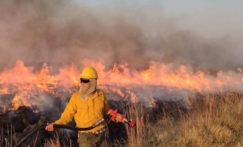 Ambiente Nación promueve acciones de capacitación para la prevención de incendios forestales Imagen de la nota: Ambiente Nación promueve acciones de capacitación para la prevención de incendios forestales