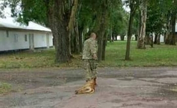 Arrastró a un perro hasta matarlo: fuerte repudio Imagen de la nota: Arrastró a un perro hasta matarlo: fuerte repudio