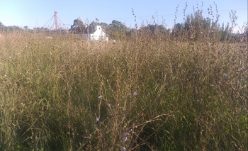 Imagen de la nota: “Por una necesaria mejora del mantenimiento de nuestras rutas”