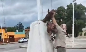 Imagen de la nota: Le carnearon dos terneros y colgó las cabezas en la plaza