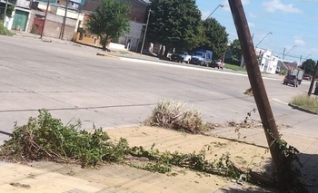 Reclaman por un poste “chocado” en el B. Alberdi Imagen de la nota: Reclaman por un poste “chocado” en el B. Alberdi