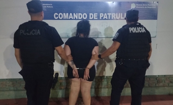 Una mujer y una menor fueron aprehendidas por robar cemento Imagen de la nota: Una mujer y una menor fueron aprehendidas por robar cemento