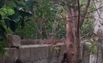 Video: preocupación por  Imagen de la nota: Video: preocupación por