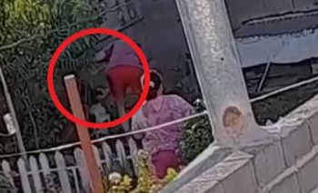 Imagen de la nota: Grave denuncia a un vecino por maltrato animal