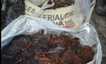 Imagen de la nota: Desde Coopelectric aseguraron que 