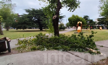Imagen de la nota: Fotogalería: Distintos puntos de la ciudad afectados tras la fuerte tormenta 