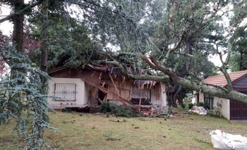 Imagen de la nota: Pánico en las playas del sur de Mar del Plata por la caída de granizo