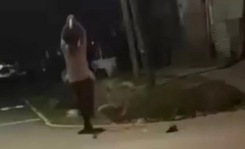 Imagen de la nota: Pilar: mató a su tío golpeándolo en la cabeza con un bate de béisbol