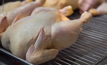 Imagen de la nota: Se comió más carne en 2025 y subió el consumo de pollo y cerdo