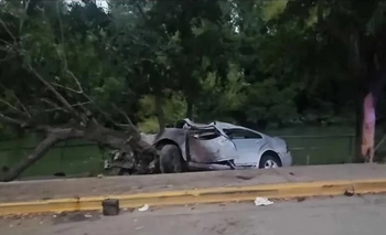 Imagen de la nota: Patagones: un joven de 17 años murió al chocar contra una fila de árboles en la costanera