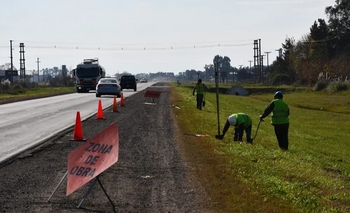Imagen de la nota: 9 de Julio: el municipio impulsa que se siembren las banquinas de la Ruta Provincial 65
