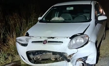 Imagen de la nota: Ruta 88: un auto embistió a un carpincho y un hombre que se detuvo a ayudar murió atropellado