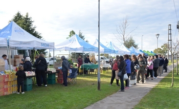 Imagen de la nota: Abrió la convocatoria para participar de Mercados Bonaerenses