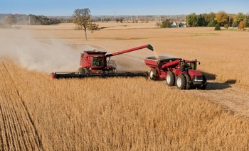 Imagen de la nota: Salaberry: 