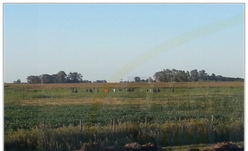 Imagen de la nota: Importante accidente de un paracaidista olavarriense en Pehuajó