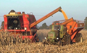 Imagen de la nota: Acaso hoy, ¿el maíz es más rentable que la soja?