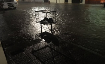 Imagen de la nota: Intenso temporal atravesó a Olavarría: calles anegadas y clases suspendidas