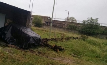 Imagen de la nota: Municipio atiende reclamos tras el temporal