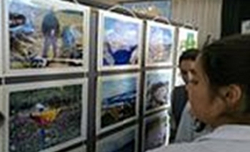 Imagen de la nota: Muestra fotográfica sobre Malvinas