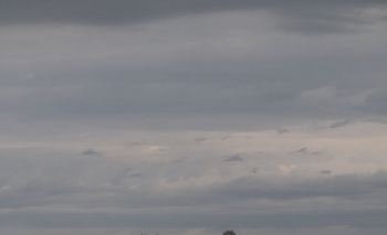 Imagen de la nota: Alerta por vientos intensos con ráfagas para este sábado