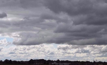 Imagen de la nota: Alerta por fuertes vientos con ráfagas en la ciudad