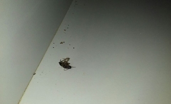 Imagen de la nota: Clausuraron un resto-bar céntrico por 