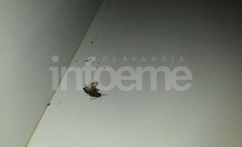 Imagen de la nota: Clausuraron un resto-bar céntrico por 
