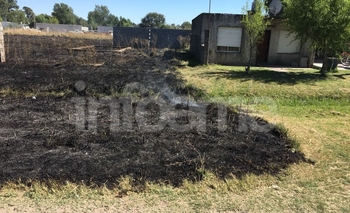 Imagen de la nota: Incendio de pastizales puso en riesgo a dos viviendas 